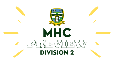 Minor Hurling Championship Division 2 Preview