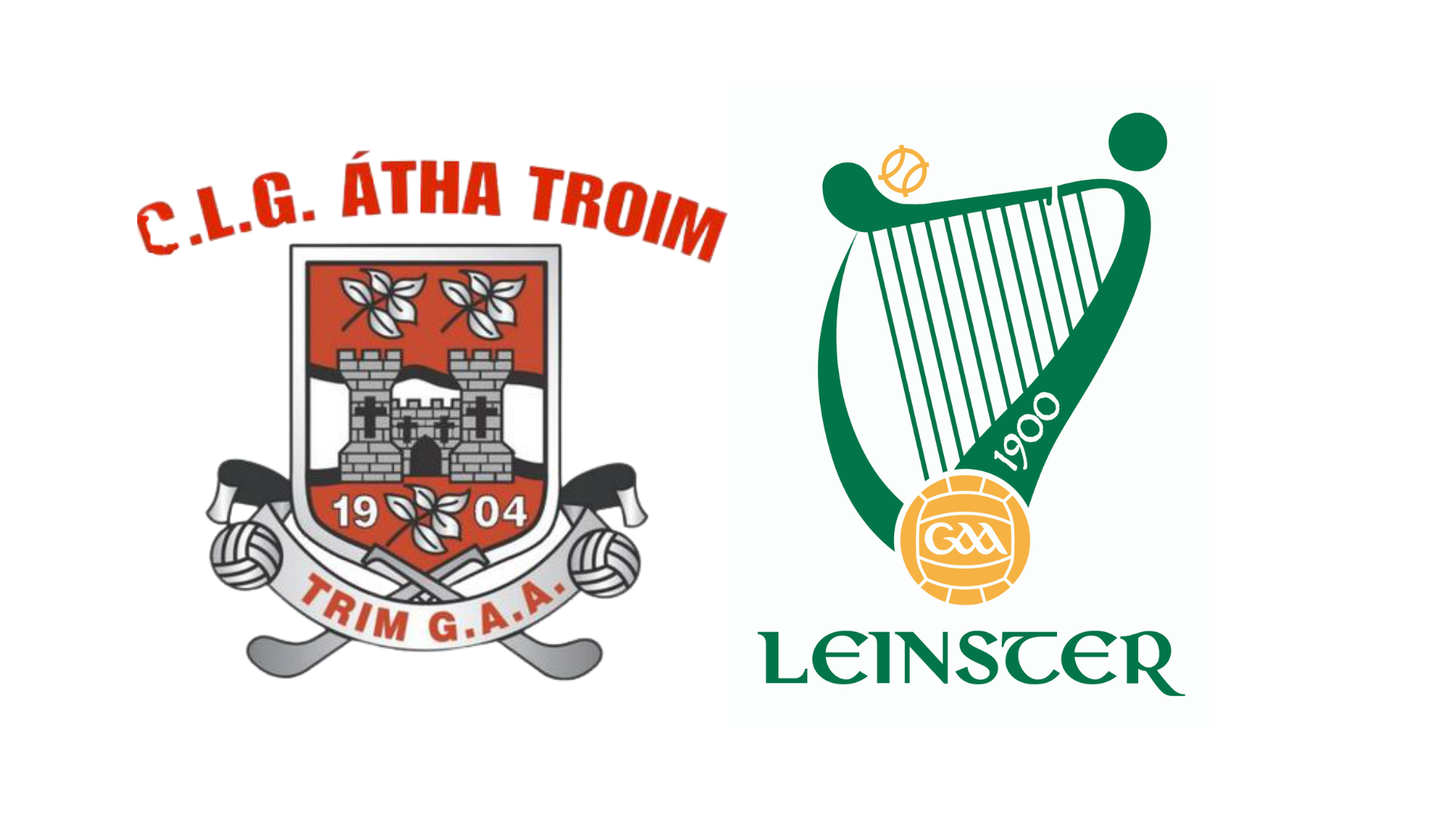 TICKETS – 2022 AIB Leinster Club IHC Final
