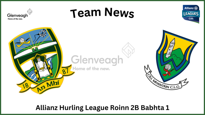 Hurling panel unveiled for Allianz Leagues opener