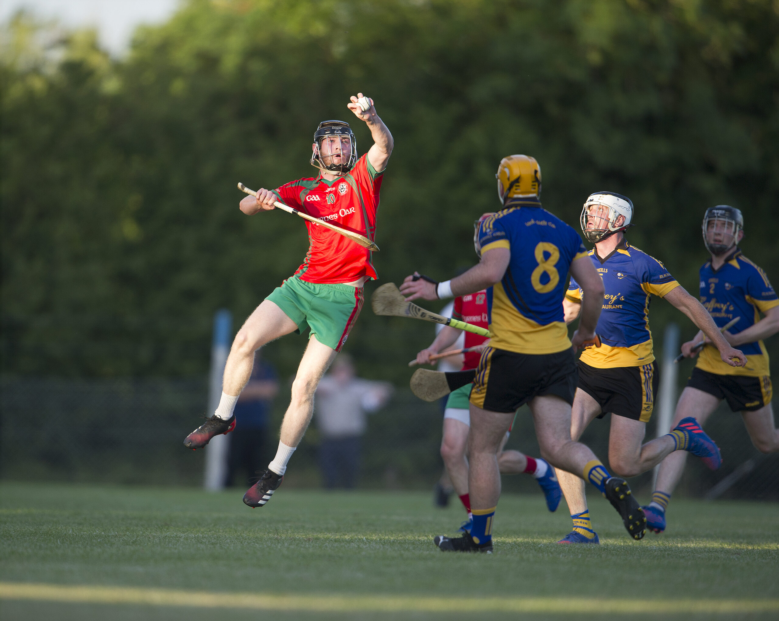 Hurling Championships Throw In