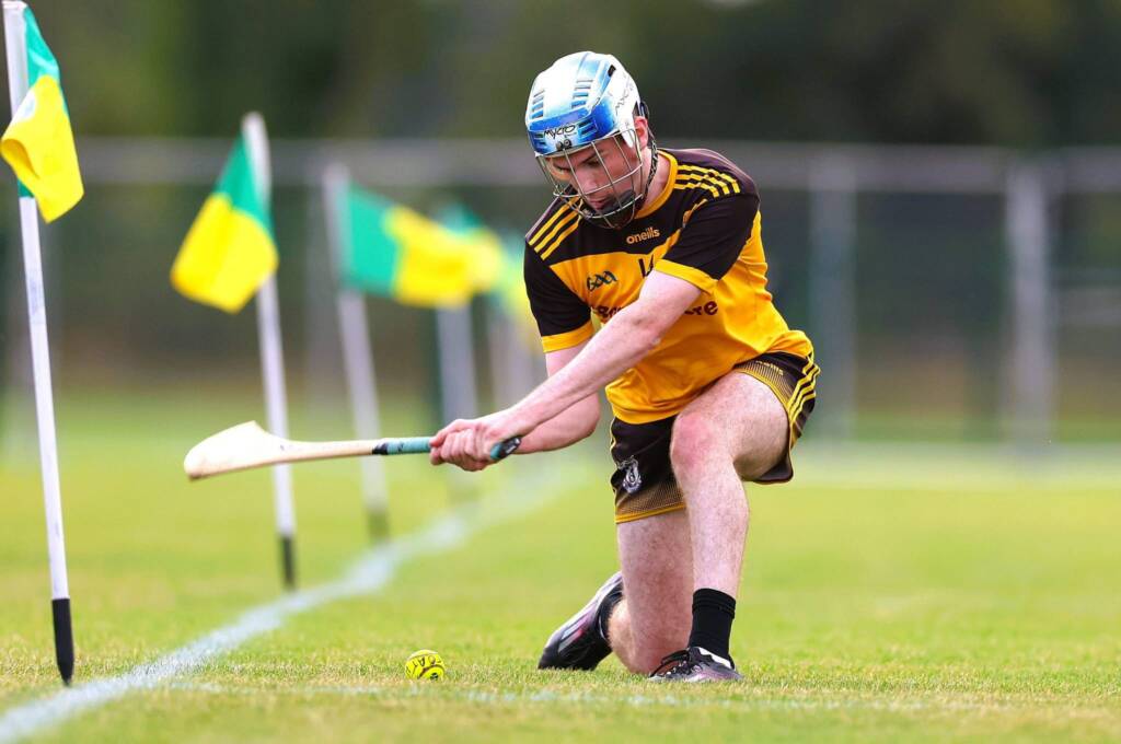 Friday’s Hurling Championship Team News