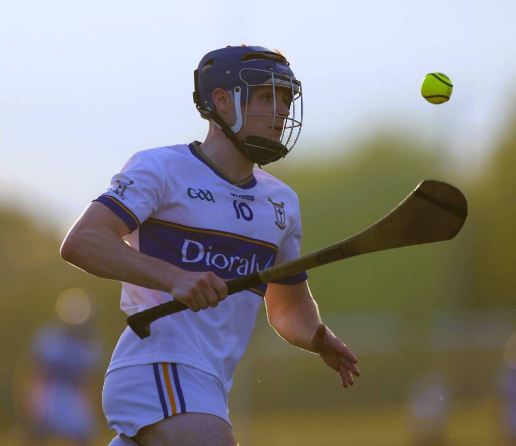 Thrilling Saturday awaits in the Meath Hurling Championships