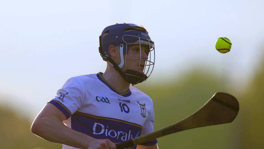 Thrilling Saturday awaits in the Meath Hurling Championships